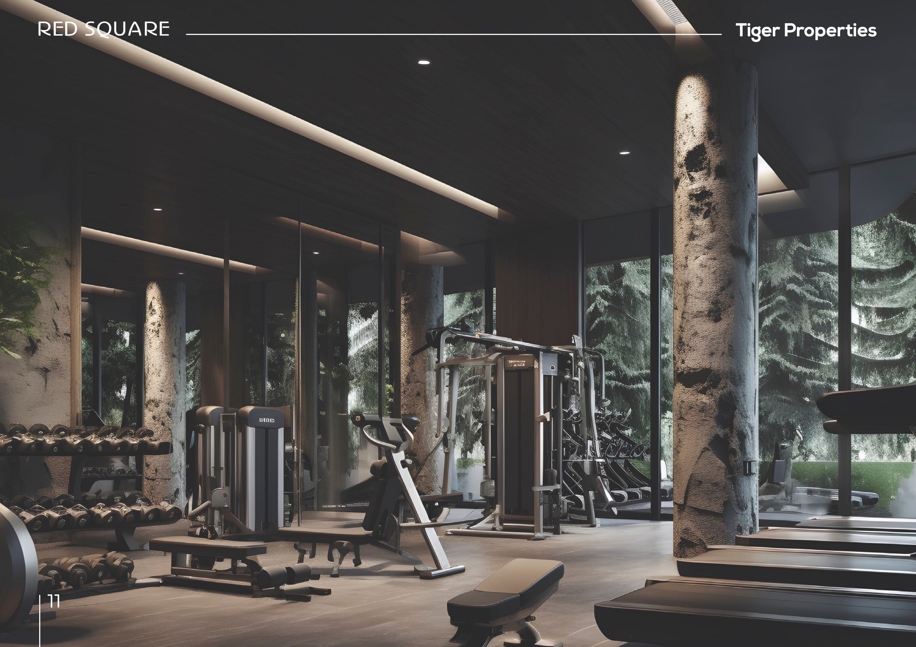 Red Square · Tiger Properties Render 11