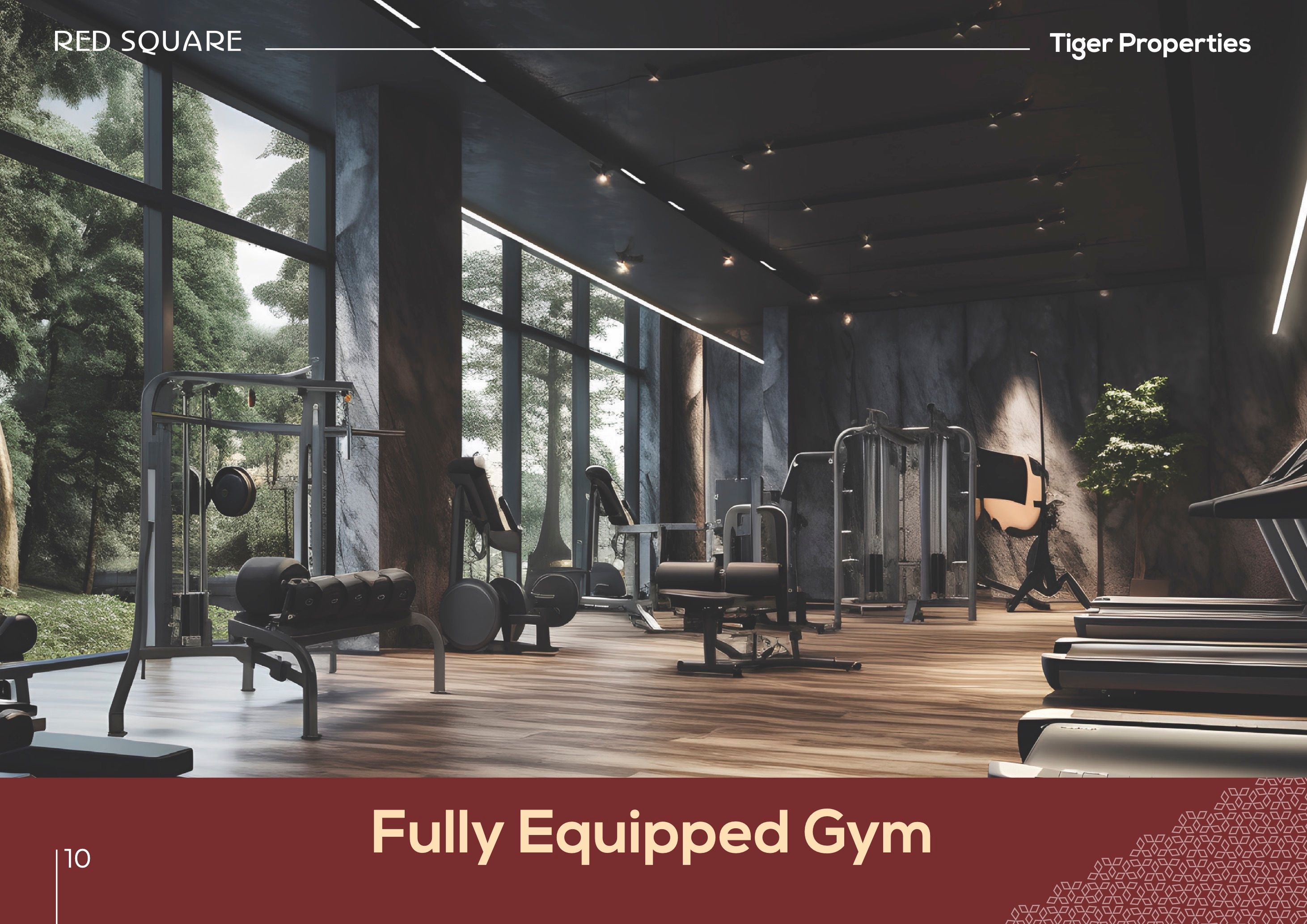 Red Square · Tiger Properties Render 10