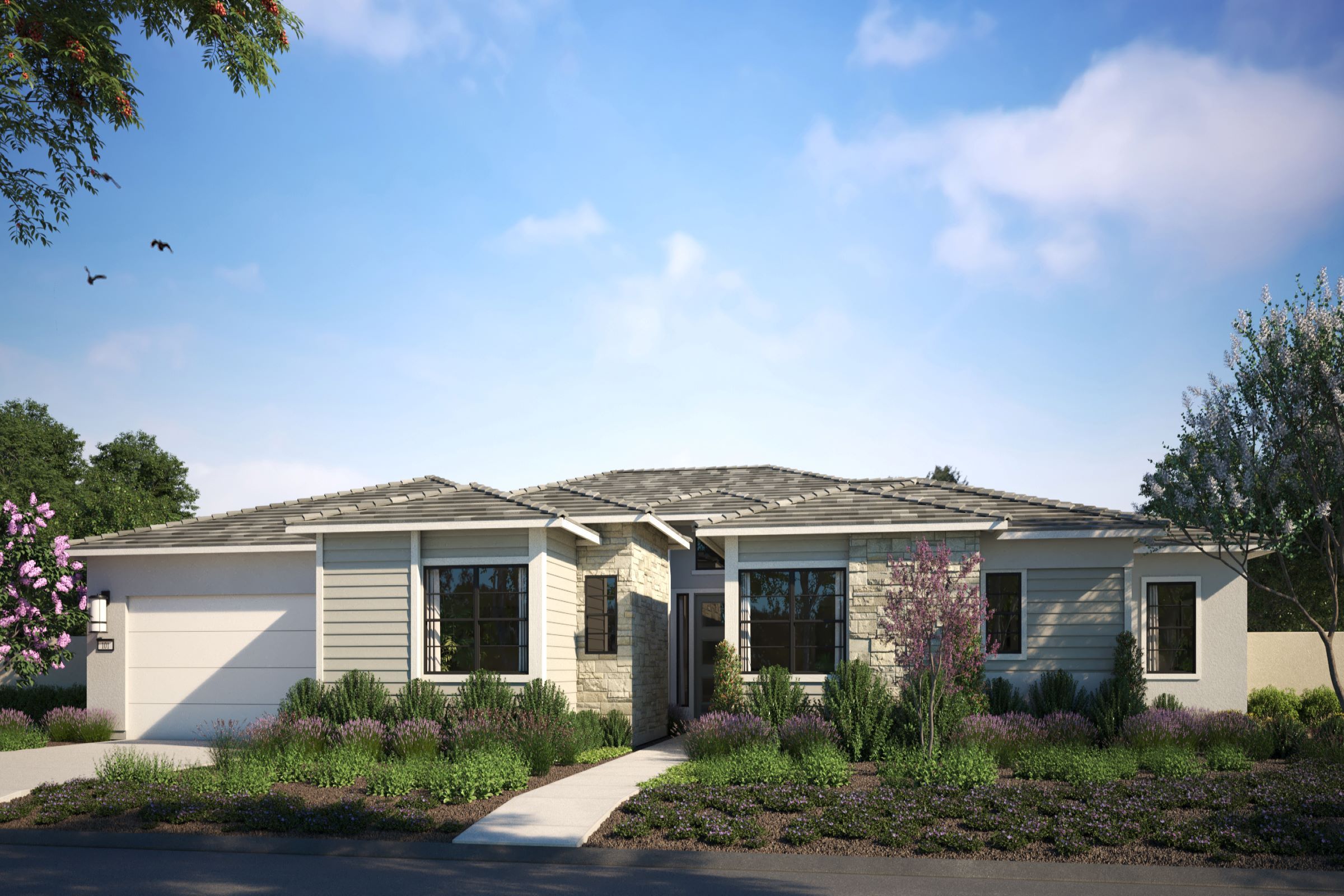 Whitehawk, Granite Bay · Anthem Render 3