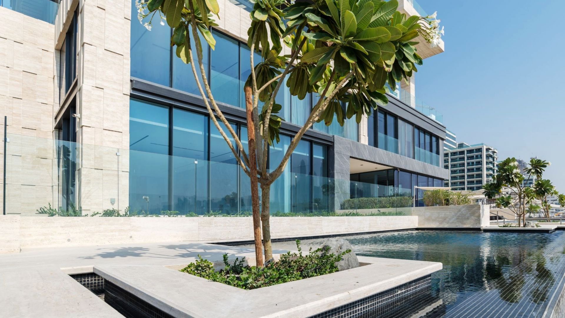 Palme Couture · Innovate living Render 3