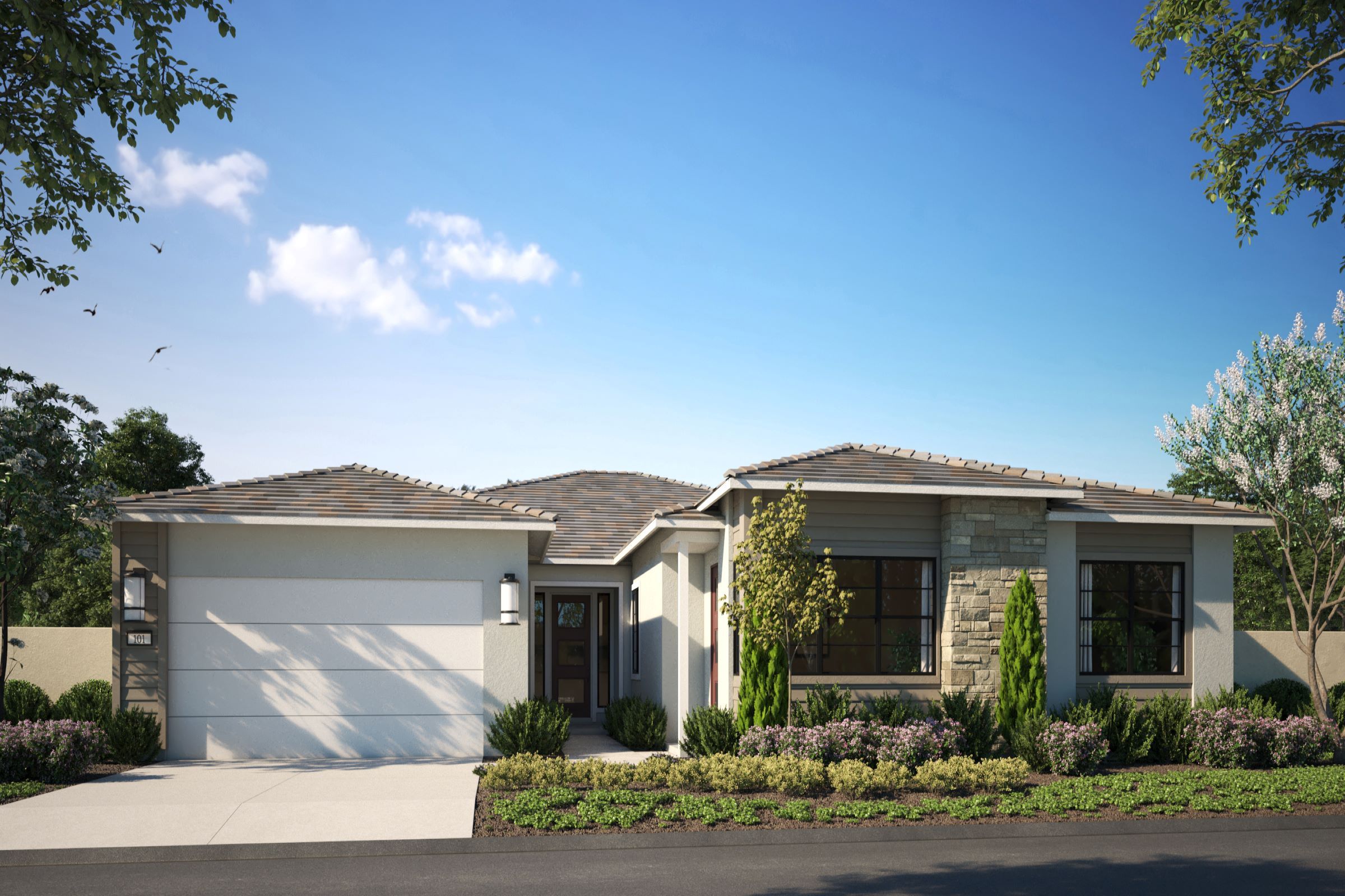 Whitehawk, Granite Bay · Anthem Render 5