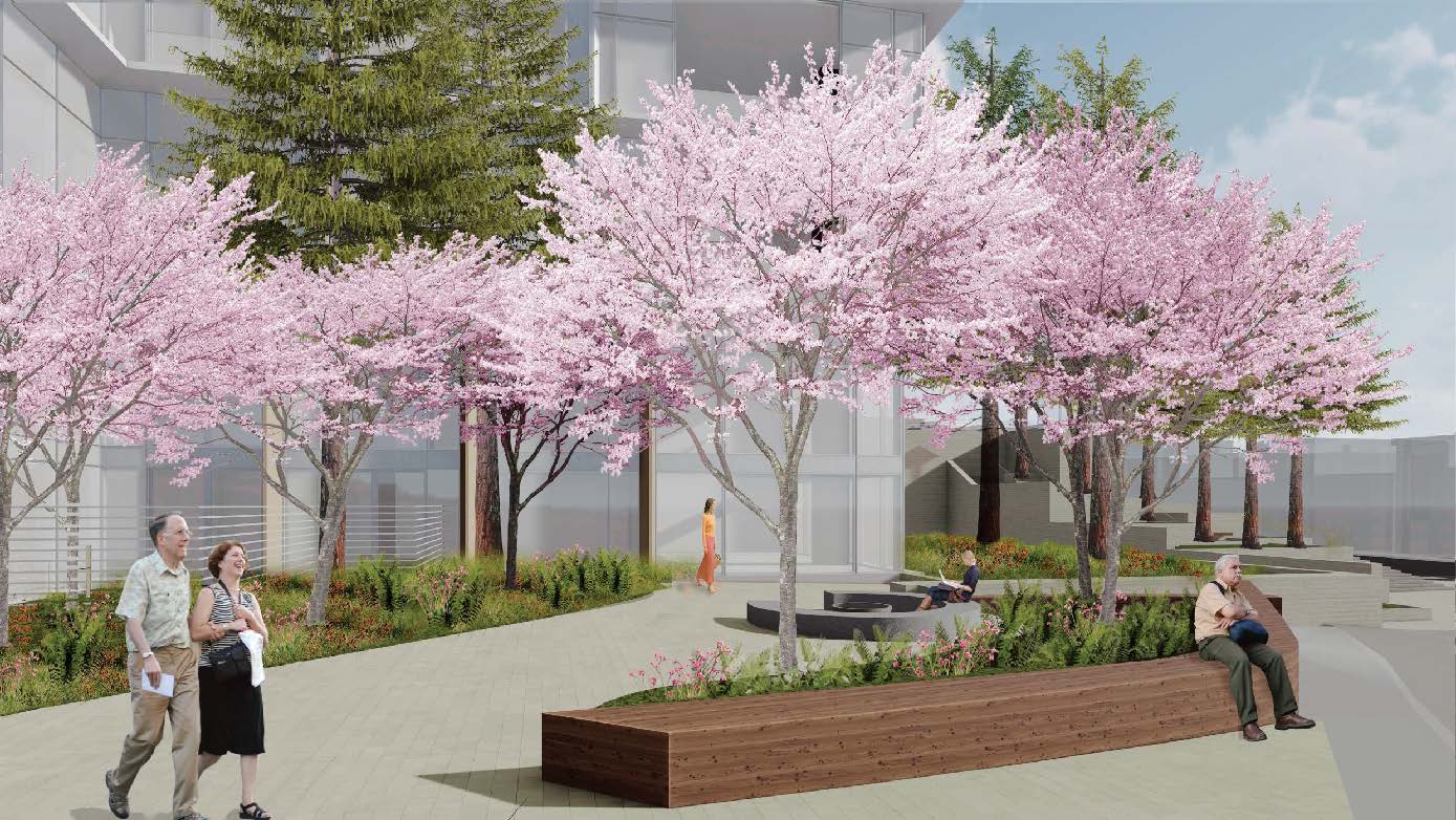3333 california · Vulcca (Agency) Render 6
